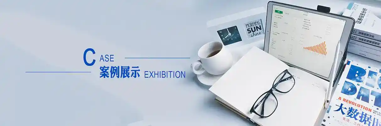 保亭黎族苗族自治县软件开发